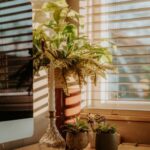 Tips for Creating a Cozy and Productive Home Office Space
