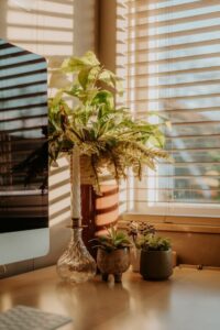 resized_94436